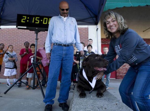 Un perrito se cuela en una media maratón y queda en séptimo lugar