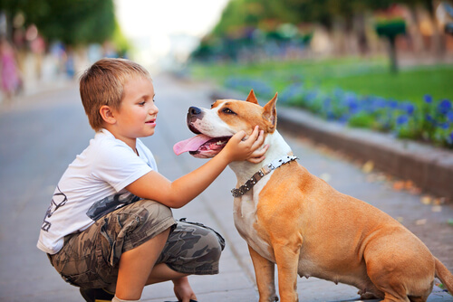 perro y niño