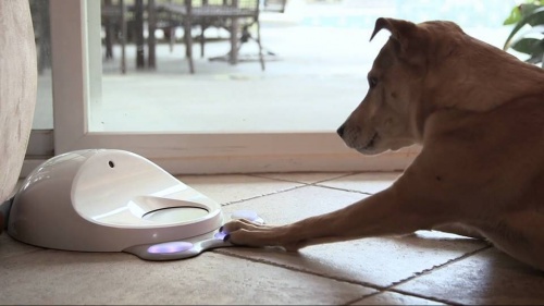 Fuente: Facebook de CleverPet
