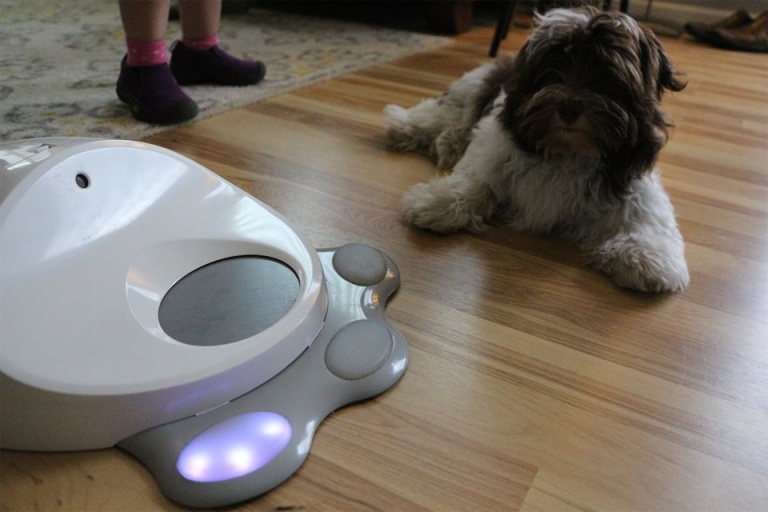 Tu perro ya puede tener su propia consola de juegos
