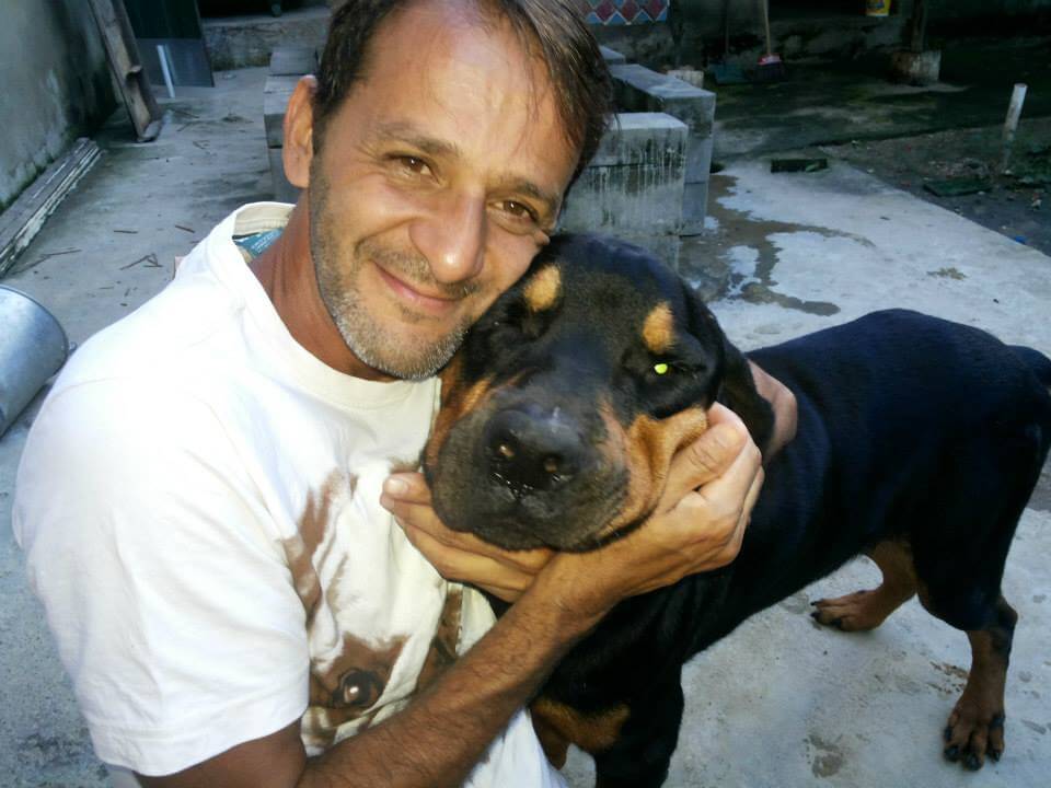 fotos de perros despues2