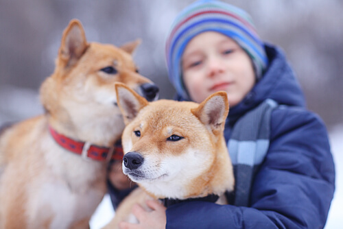 niños y perros