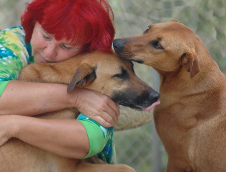 Una mujer en Costa Rica usa todos sus ahorros para cuidar a más de 200 perros abandonados