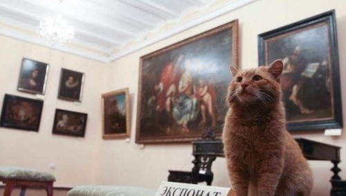 Un gato se convierte en conserje de un museo