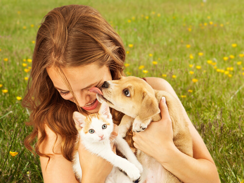 los beneficios de tener una mascota