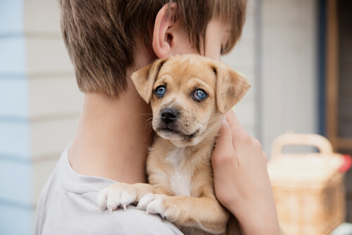 Los perros ayudan a luchar contra el asma en tus hijos
