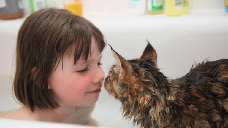 La increíble relación de una niña autista y su gato