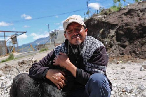perro se niega a abandonar su casa despues de un terremoto 2