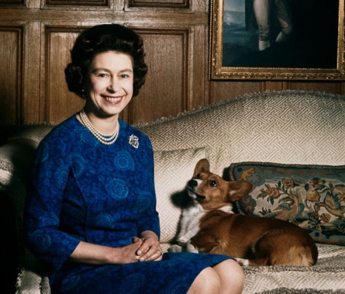 La vida de los perros de la reina Isabel II