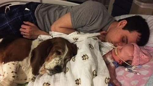 Basset Hound, Un perro que permaneció con su dueña pequeña hasta el final