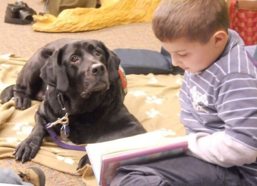 Menino lendo ao lado de um cão