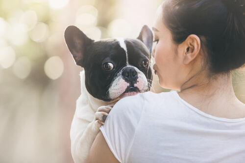 Carta de un perro adoptado a su ama