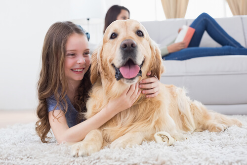 A little girl playing with her dog.