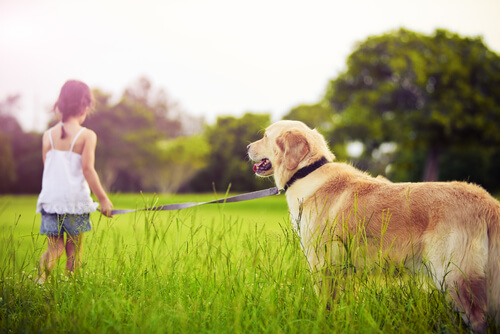 Qué hacer cuando un niño pide una mascota Qué hacer cuando un niño pide una mascota