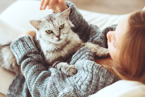 ¿Qué piensan los gatos de sus dueños?