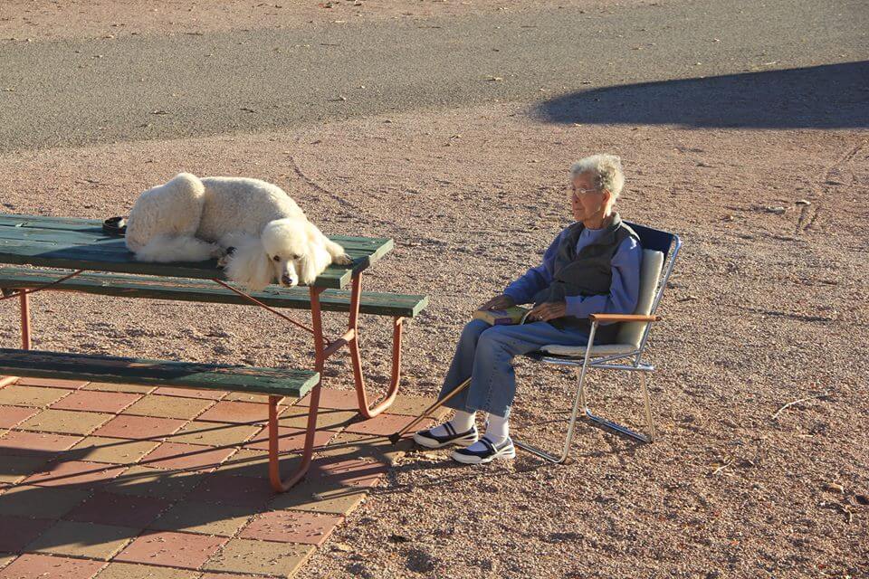 mujer de 90 años viaja con su perro 2