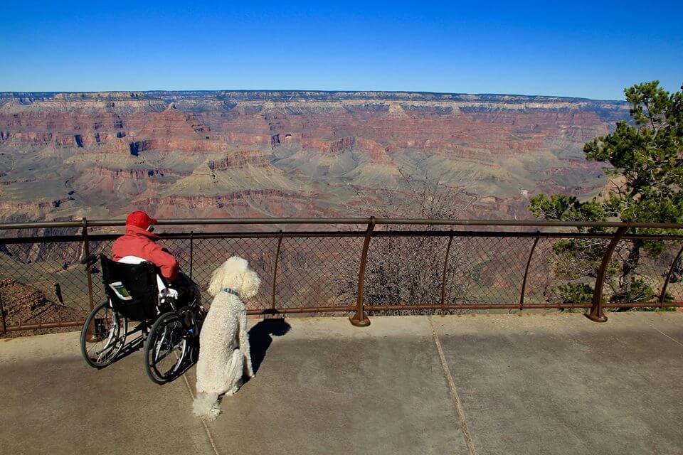 mujer de 90 años viaja con su perro 3