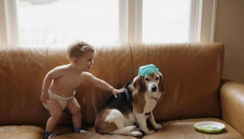 Un niño envía una carta a su perro fallecido y recibe una bonita respuesta
