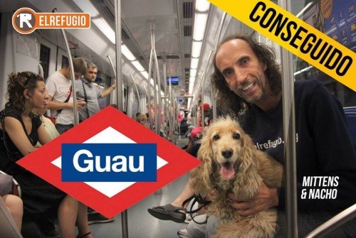 Primer día de perros en el metro de Madrid