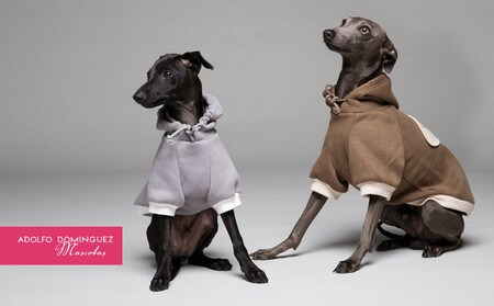 Adolfo Domínguez lanza una colección para perros