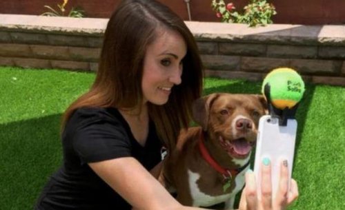 Selfie, cómo conseguir el mejor con nuestro perro