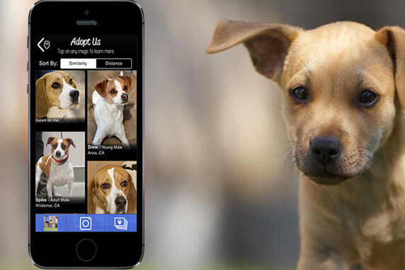 Guau! Qué perros, la nueva app que fomenta la adopción