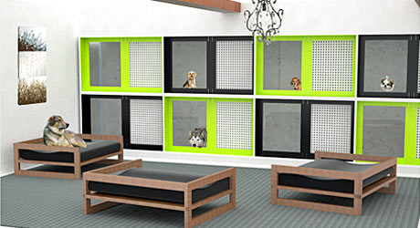 ¿Existen discotecas para perros?