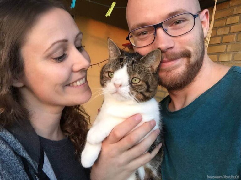 Monty, un gato con síndrome de Down que enamoró a los internautas