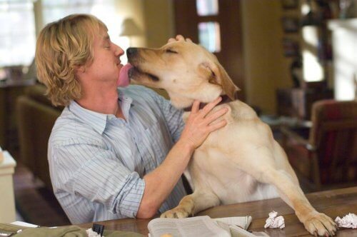 Fuente: Facebook de Marley & Me