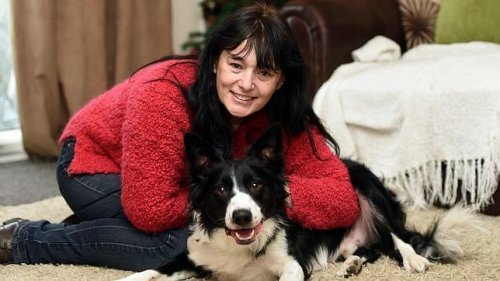 Un perro detecta cáncer de mama en su dueña