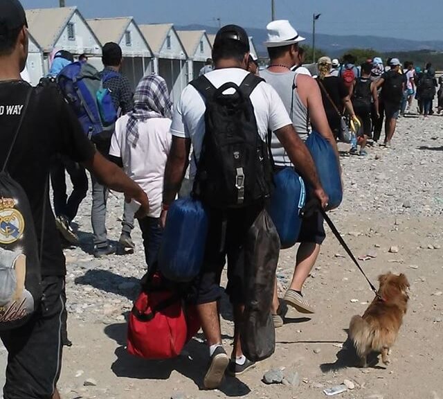 refugiados sirios con sus mascotas 2