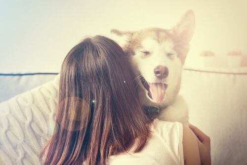 No intentes sobreproteger a tu perro