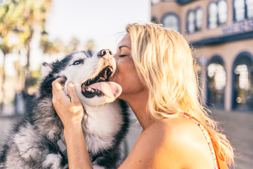 ¿Por qué besar a tu perro no es la mejor idea?