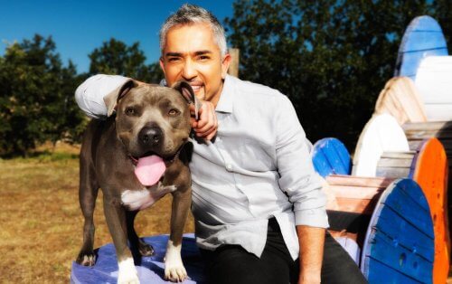 César Millán, el entrenador de perros investigado César Millán, el entrenador de perros investigado