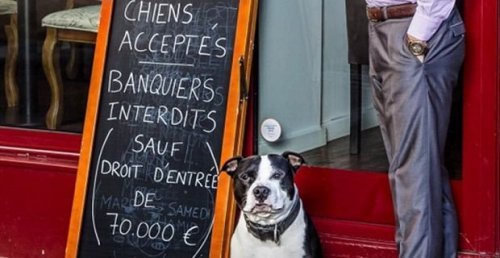 Un restaurante en París que permitía el ingreso de los perros, pero no de los banqueros