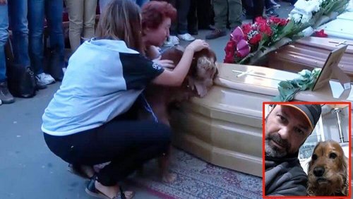 Un perro se niega a abandonar el ataúd de su amo, víctima del terremoto en Italia