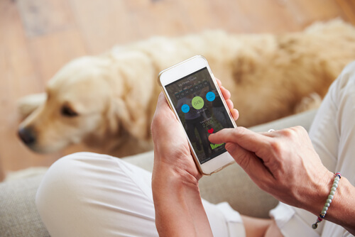 Las 5 mejores apps para ti y para tu perro