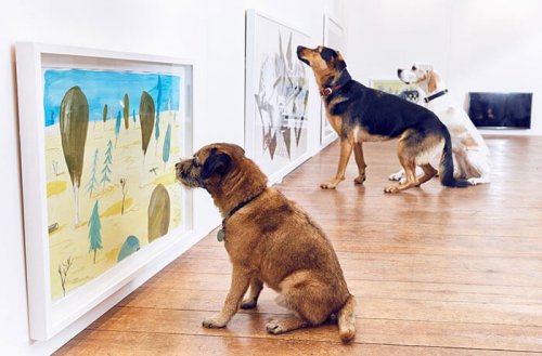Primera exhibición en el mundo creada para los perros