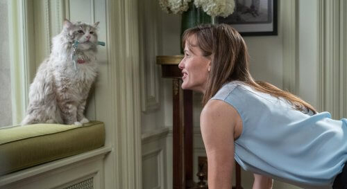 Conoce la película “MI PAPÁ ES UN GATO“