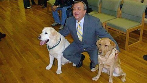 El perro guía que el 11-S regresó para salvar la vida de su dueño