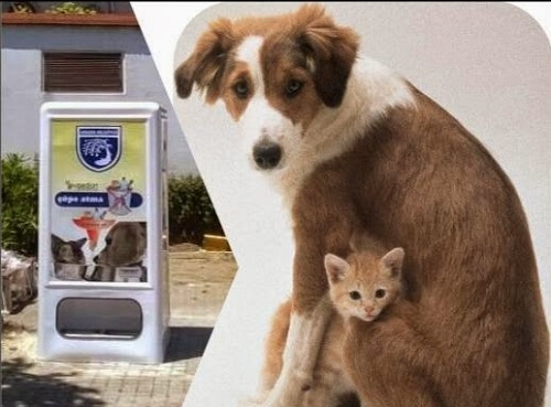 Ya hay una máquina expendedora de comida para mascotas en España
