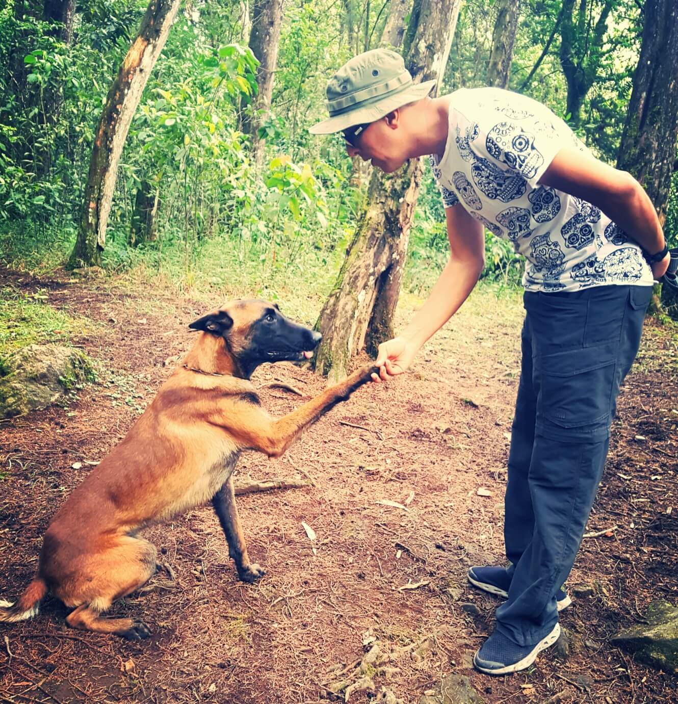 cachorro-que-busca-desaparecidos