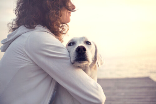 Refranes populares sobre perros