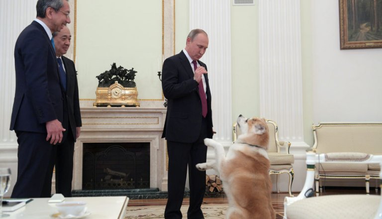 El perro de Vladimir Putin 'asusta' a los periodistas japoneses