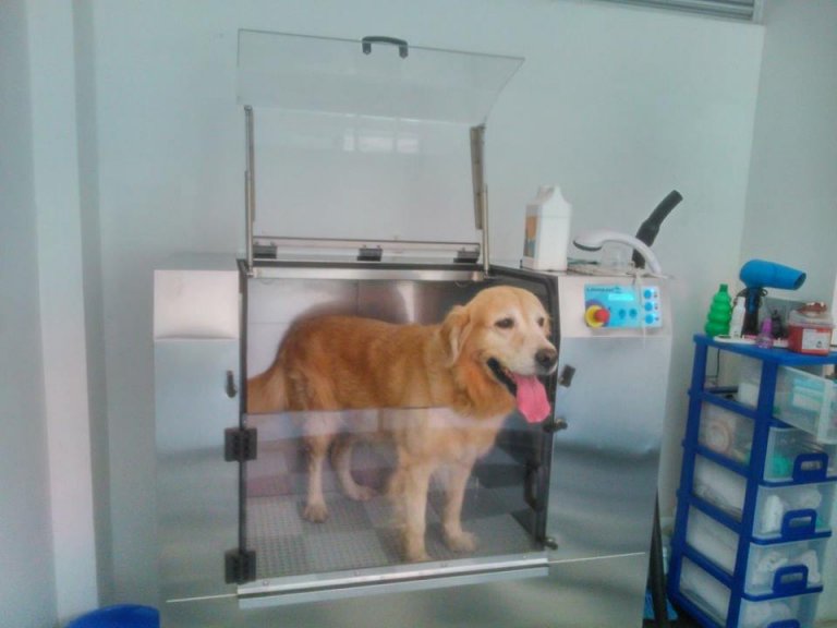 Cómo funcionan las máquinas de lavado para perros