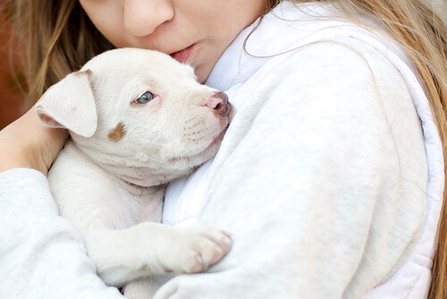 ¿Quién es Temple Grandin?