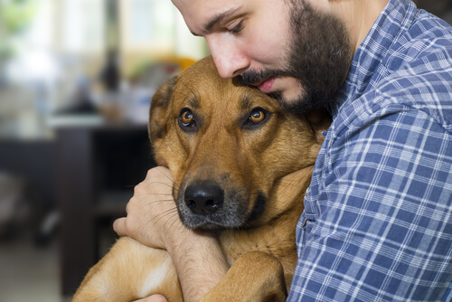 El cáncer en los perros