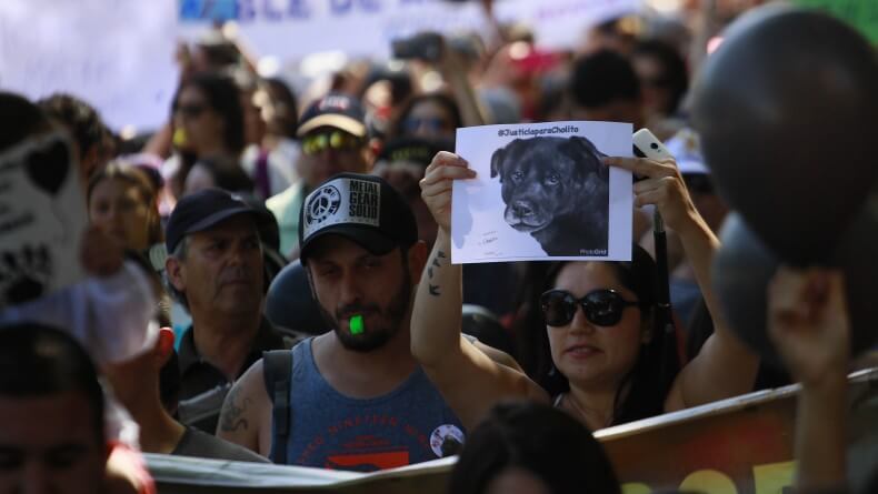 justicia-para-cholito-2