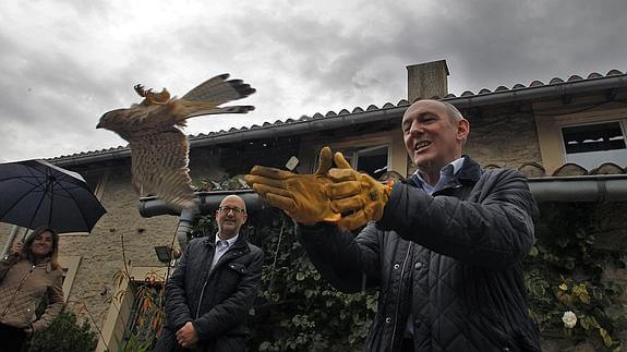 Releasing a bird back into the wild.