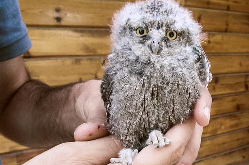 Mártioda, un hospital para animales Mártioda, un hospital para animales
